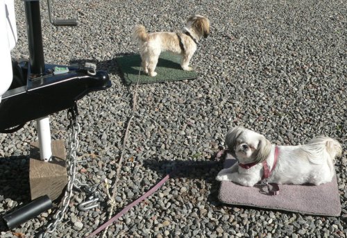 LexyAround.jpg, 76kB