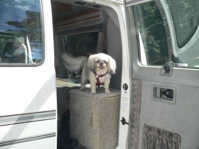 MyLex-MotionSick.jpg, 25kB