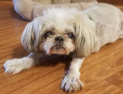 MyLexy-Blind20170902.jpg, 22kB