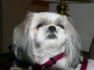 MyLexy-Face5.jpg, 21kB