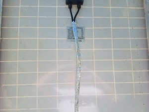 RoofWires20170928_094903.jpg, 13kB