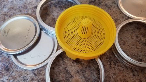 Sprouts20190726_lids.jpg, 37kB