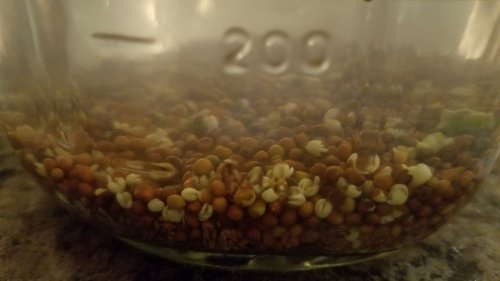 Sprouts20190727_040148-12.jpg, 20kB