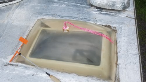 WindTassels.jpg, 27kB